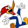 Pájaro Rojo profil fotoğrafı