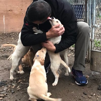 mkaeberlein's profile picture