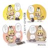 まっつん's profile picture