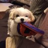 よしさま's profile picture