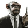Virtuous Ape 的头像