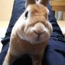 う～'s profile picture