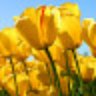 الفقير إلى الله profil fotoğrafı