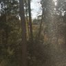 JC profil fotoğrafı