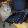 Carlos Poa's profile picture