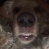 Ralphy 的头像