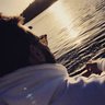JoeyMacc🔰's profile picture