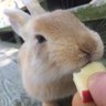 多分ぐっちゃん 的头像