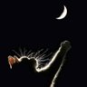 漆黒 profil fotoğrafı