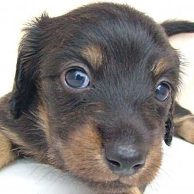 タイプ・あ~る's profile picture