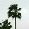 Фото профиля محمد امين القاسمي