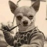 Profilbild von Rudi Mental