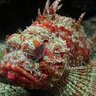 Фото профиля さもえど