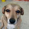 Camilo profil fotoğrafı