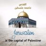 suha barghouthi's profile picture