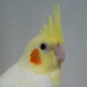 Profilbild von hamakko2010