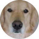 0a0k0o's profile picture