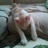 고마워 profil fotoğrafı