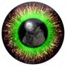 JoseJ's profile picture