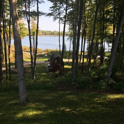 Larry Miller Retired's profile picture