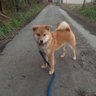 石川智基 profil fotoğrafı