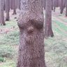 Фото профиля Micha