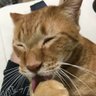 ヤンマー2 profil fotoğrafı