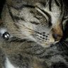 catty.vkk's profile picture