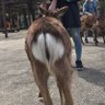 ジャクソーン's profile picture