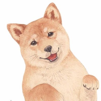 YOU+MORE!'s profile picture