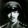 Dina shamroukh 的头像