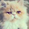Profilbild von xx
