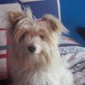 Blake.'s profile picture
