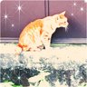 南一矢 profil fotoğrafı