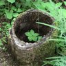 とと様 的头像