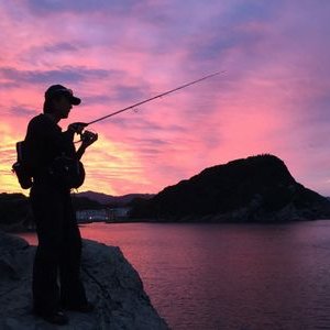 palms_numata's profile picture