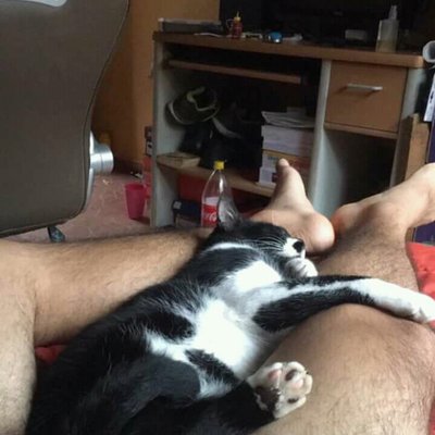 RobinHotPeru's profile picture