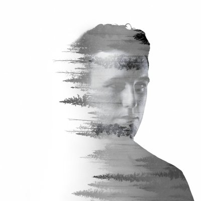 Orion Reed's profile picture