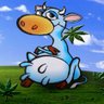 Profilbild von Святая корова