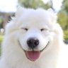Profilbild von Dan