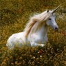 Фото профиля Lilian Villa
