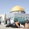 Ali Ben Neji profil fotoğrafı