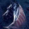 the NOTICER 🇺🇸's profile picture