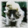 はんどるとらふりぃ 的头像