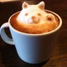 miki's profile picture