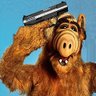Alf Benny 🧢's profile picture