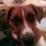 Swirve's profile picture