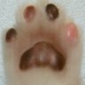 に・く・Q's profile picture