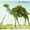 ثابت 的头像