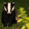 Rebecca Vickerstaff's profile picture